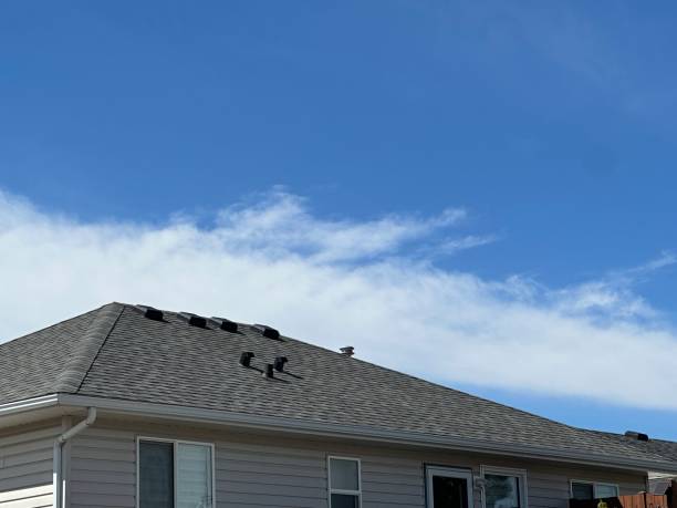 Best Roof Maintenance and Cleaning  in Heceta Beach, OR